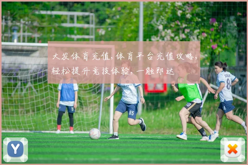 大发体育充值,体育平台充值攻略,轻松提升竞技体验,一触即达